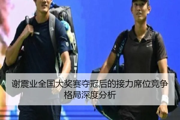 xie-zhen-ye-quan-guo-da-jiang-sai-duo-guan-hou-de-jie-li-xi-wei-jing-zheng-ge-ju-shen-du-fen-xi-2-382.jpg